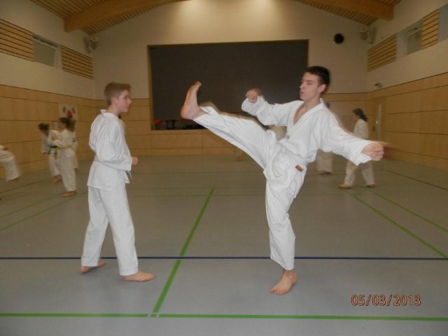 Taekwondo Training